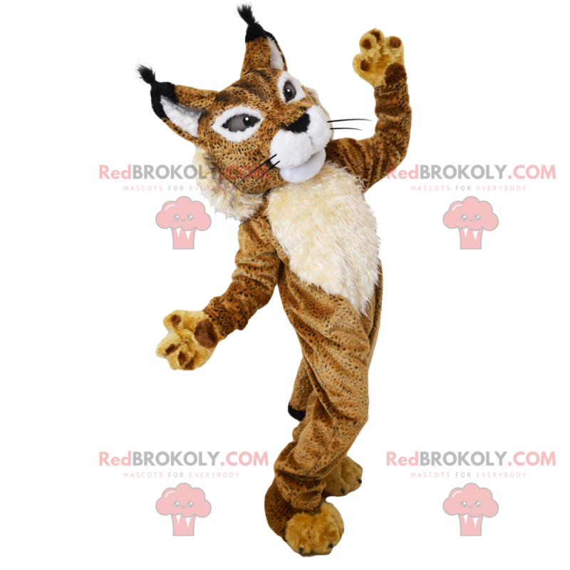 Savannah Animal Mascot - Tweekleurige lynx - Redbrokoly.com