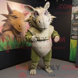 Olive Armadillo mascotte...
