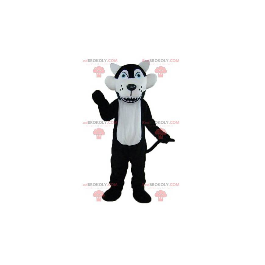 Mascote lobo preto e branco com olhos azuis - Redbrokoly.com