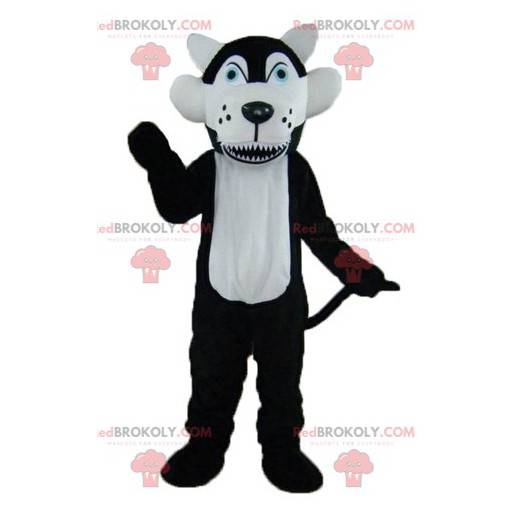 Mascote lobo preto e branco com olhos azuis - Redbrokoly.com