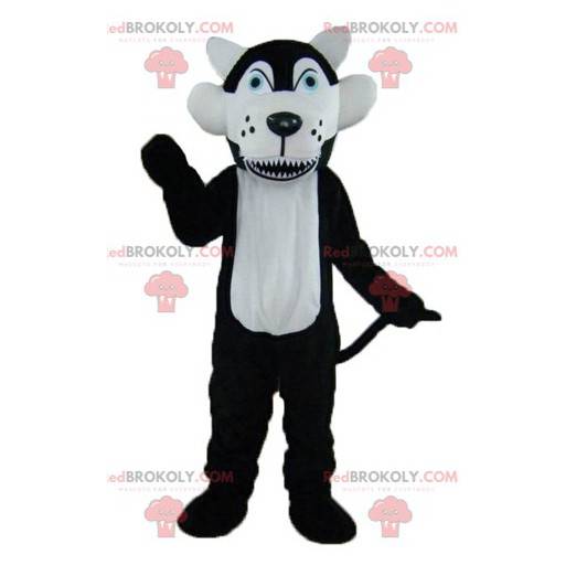 Mascotte de loup noir et blanc aux yeux bleus - Redbrokoly.com