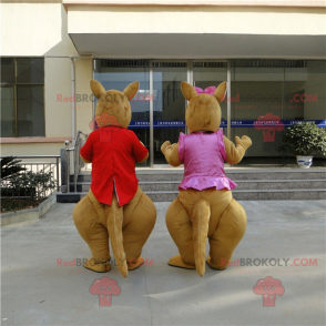 Mascota de pareja canguro - Redbrokoly.com