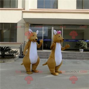 Kangaroo couple mascot - Redbrokoly.com