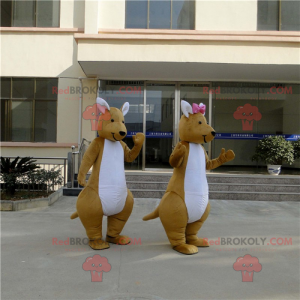 Mascota de pareja canguro - Redbrokoly.com