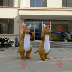 Mascotte couple de kangourou - Redbrokoly.com