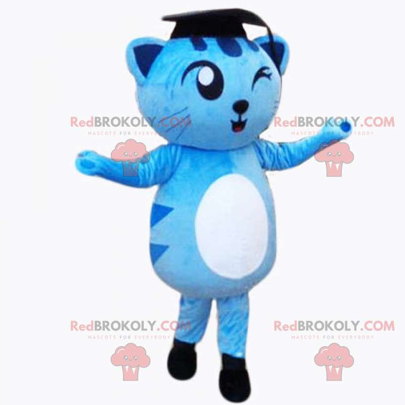 Mascota adorable gatito - ceremonia de graduación - Mascota adorable gatito - ceremonia de graduación -