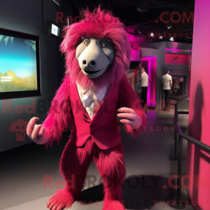 Magenta bavian...
