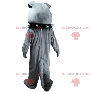 Bulldog maskot med sort krave - Redbrokoly.com