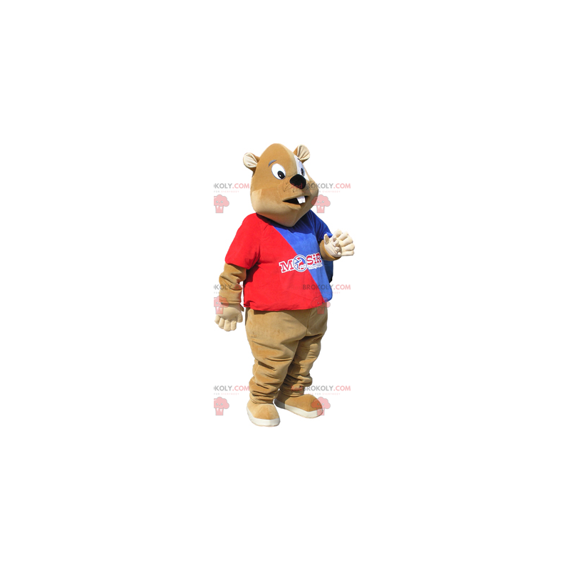 Torcedor do mascote castor - Redbrokoly.com