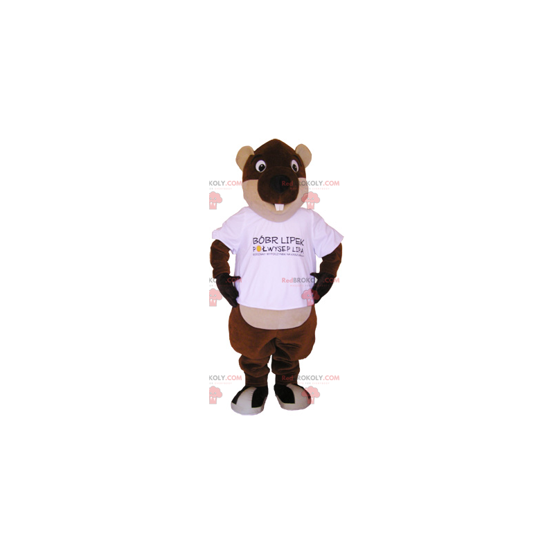 Beaver maskot runde øyne - Redbrokoly.com