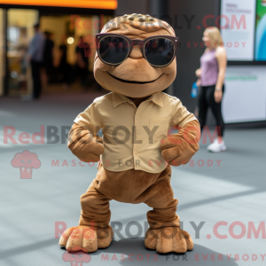 Brun skildpadde maskot...