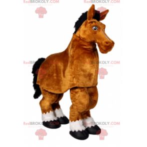 Mascote de cavalo - Redbrokoly.com