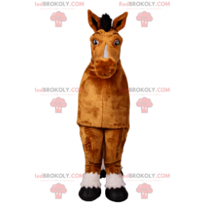Mascote de cavalo - Redbrokoly.com