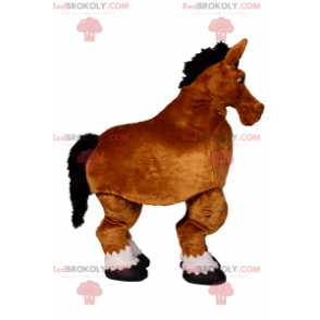 Mascote de cavalo - Redbrokoly.com