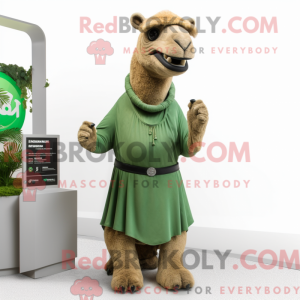 Forest Green Camel mascot...