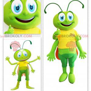 Zelená kobylka kobylka maskot - Redbrokoly.com