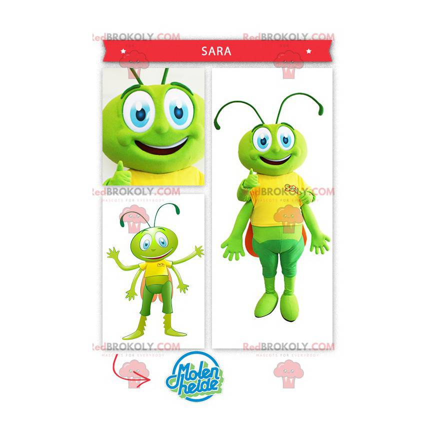 Grünes Heuschreckenmaskottchen der Heuschrecke - Redbrokoly.com Grünes Heuschreckenmaskottchen der Heuschrecke - Redbrokoly.com