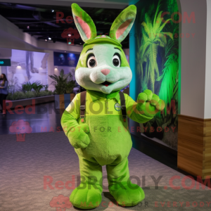 Mascotte de lapin vert...