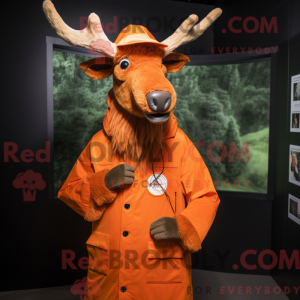 Orange Irish Elk maskot...