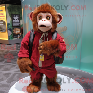 Red Capuchin Monkey...