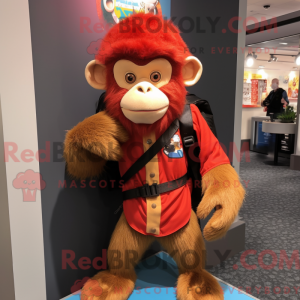 Red Capuchin Monkey maskot...