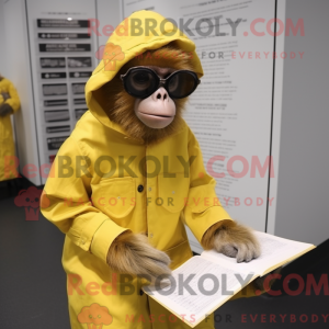 Sitrongul Capuchin Monkey...