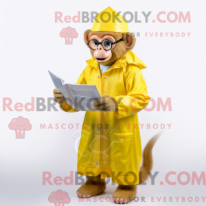 Sitrongul Capuchin Monkey...