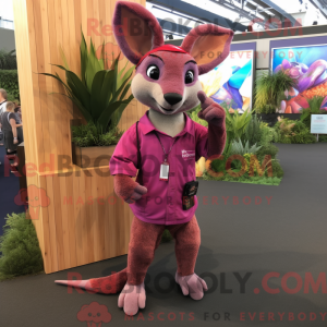 Magenta Kangaroo mascot...