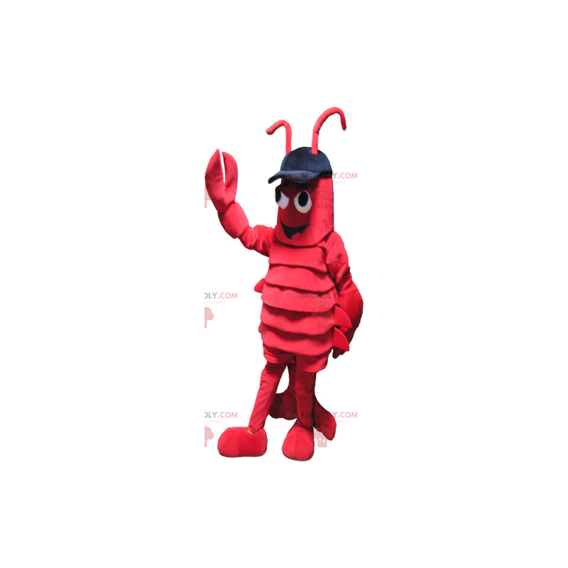 Kreeft mascotte met pet - Redbrokoly.com