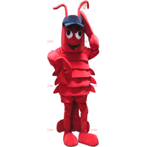 Lobster mascot with cap - Redbrokoly.com