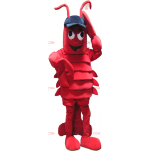 Maskot humra s víčkem - Redbrokoly.com