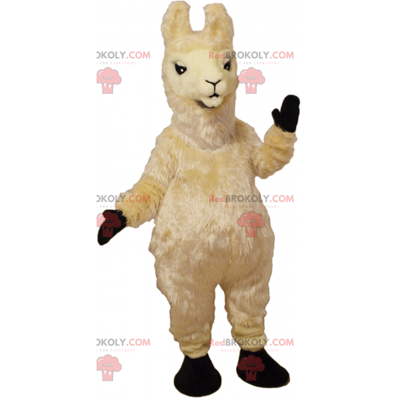 Beige llama mascot - Redbrokoly.com
