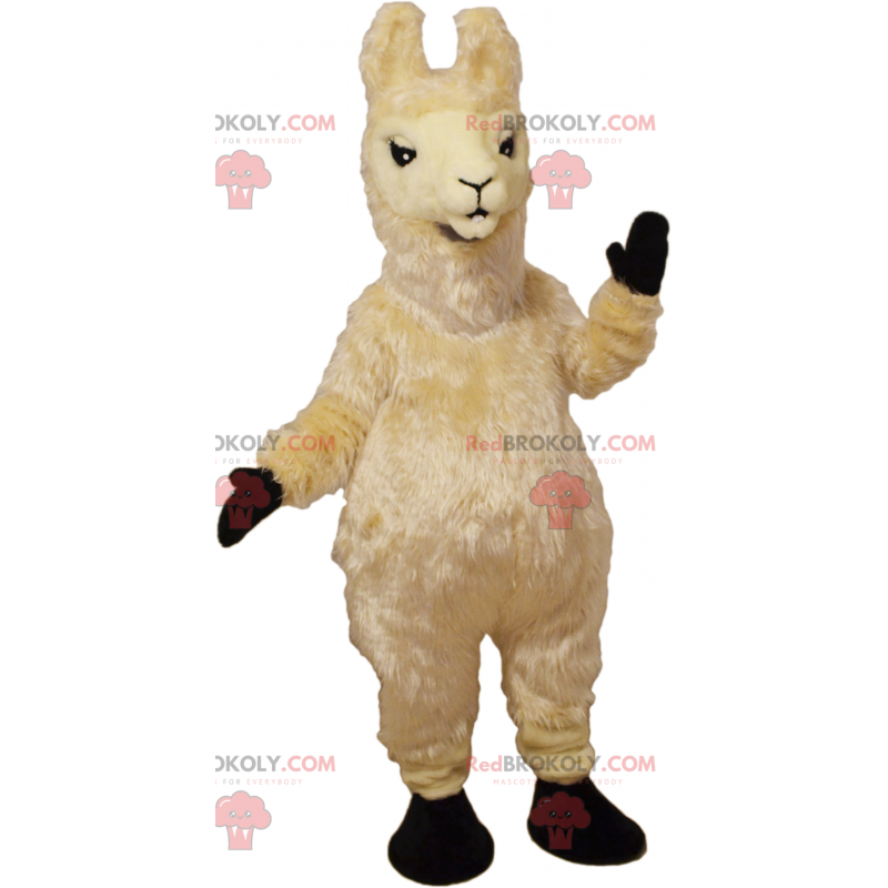 Mascotte beige lama - Redbrokoly.com