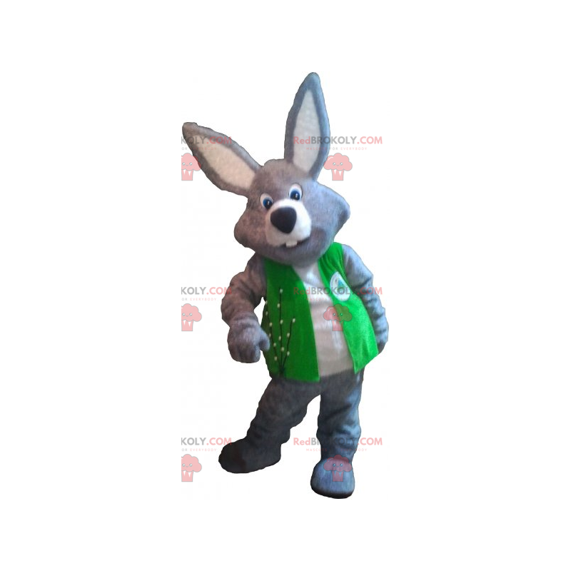 Mascote coelho cinza com sua jaqueta - Redbrokoly.com