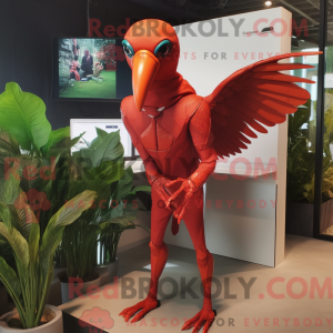 Red Archeopteryx...