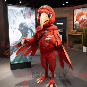 Red Archeopteryx...
