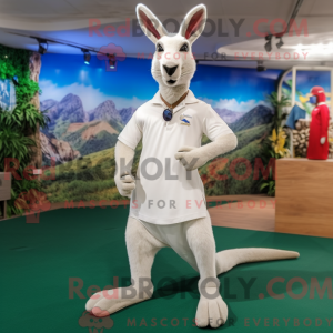White Kangaroo mascot...