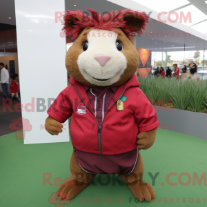 Maroon Guinea...