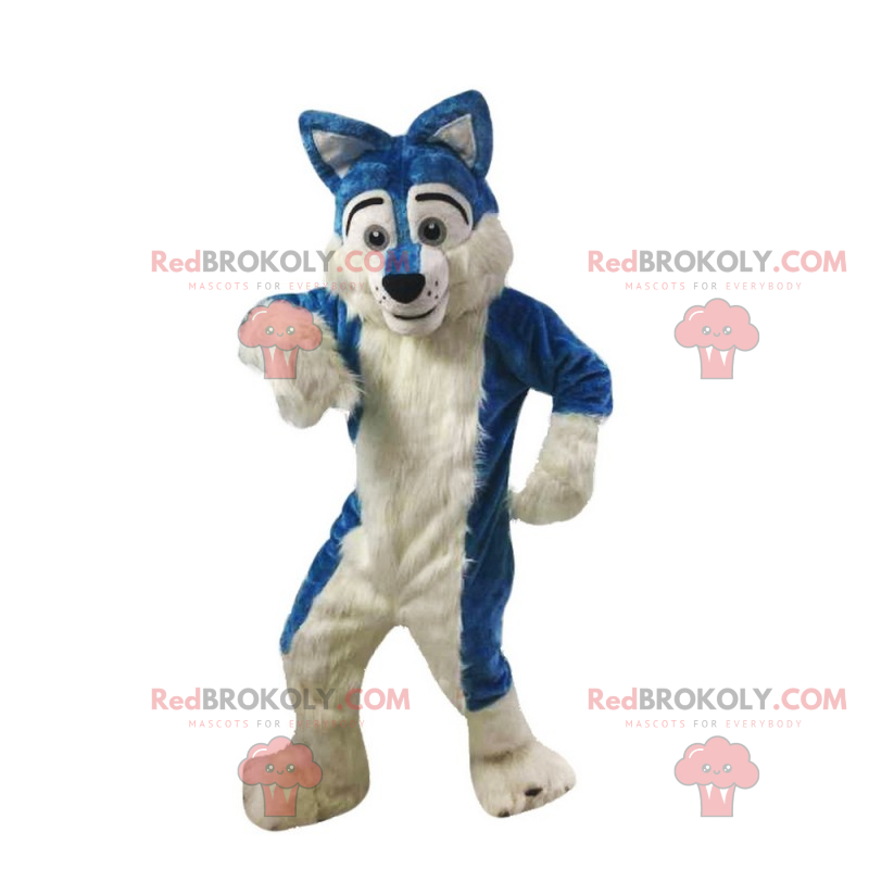 Blue and white wolf mascot - Redbrokoly.com