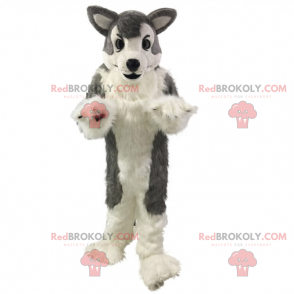 Gray wolf mascot - Redbrokoly.com