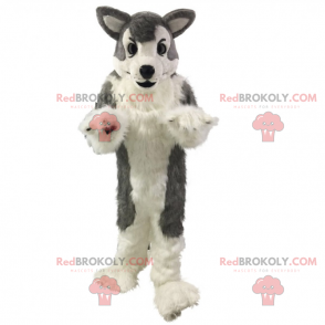 Mascotte del lupo grigio - Redbrokoly.com