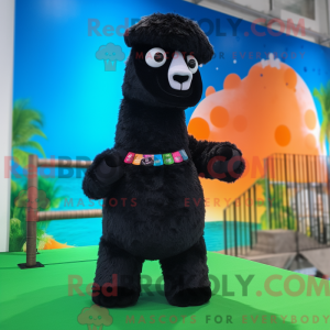 Sort alpaka maskot kostume...