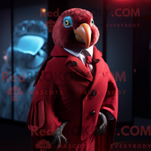 Maroon papegøje maskot...