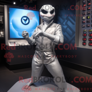 Maskottchenkostüm Silver...