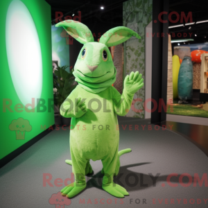 Lime Green Wild Rabbit...