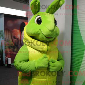 Lime Green Wild Rabbit...