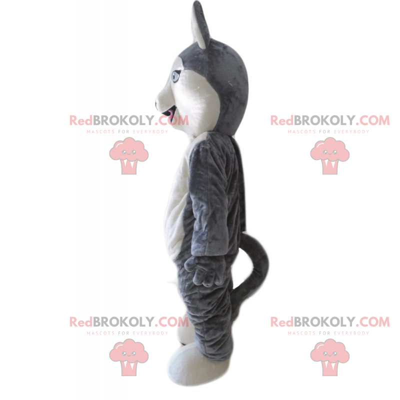 Mascote de lobo cinzento e branco - Redbrokoly.com