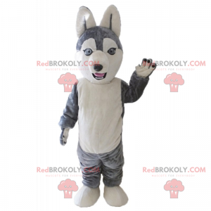 Little gray and white wolf mascot - Redbrokoly.com