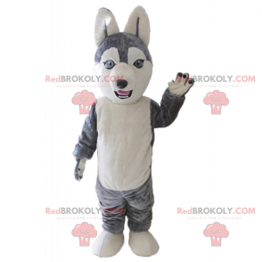 Lille grå og hvid ulvemaskot - Redbrokoly.com