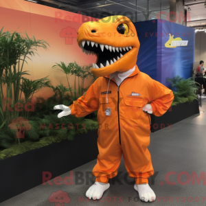 Costume de mascotte de...